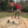 Tim Hammers - @tim.hammers - TikTok