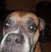 Tim Hammett - Facebook