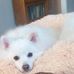 Tim Hammett - Facebook