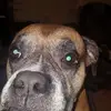 Tim Hammett - @thammett68 - TikTok