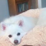 Tim Hammett - @timham6422 - Instagram