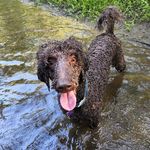 Tim Hanley - @timb0563 - Instagram