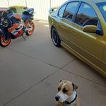 Tim Hanley - @tim.hanley.58 - Instagram