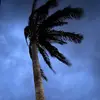 Tim_hanley - @tim_hanley - TikTok