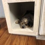 Tim Hargis - @thargis2004 - Instagram