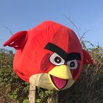 Tim Harkins - @tim_ah7 - Instagram