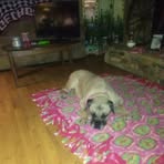 Tim Harkins - Facebook