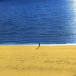 Tim Harkins - @tim.harkins.50 - Instagram