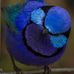 Tim Harland - Facebook
