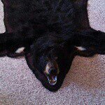 Tim Harmon - @timharmon101602 - Instagram
