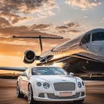Tim Häuser - @tim_5856 - Instagram