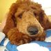 Tim Havens - Facebook