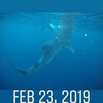 Tim Healey - @tghealey - Instagram