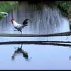 Tim Heard829 - @timbob4555 - TikTok