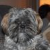 Timothy C Heimer - Facebook