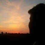 Timo Heins - @timoheins - Instagram