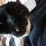 Tim Heinze - @timhz7 - Instagram