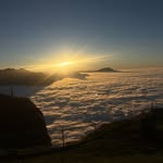 Tim - @tim_heinzer - Instagram
