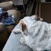 Tim Heitz - Facebook