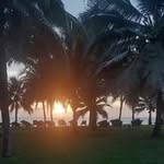 Tim Heller - @tim495195 - Instagram