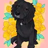 Tim Heller - @tim.heller1 - TikTok