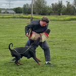 Tim Herreveld - @tim.herreveld - Instagram