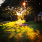 Tim Herrick - @herrick2511 - Instagram