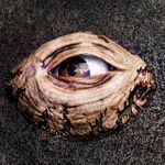 Tim Hertel - @timsassets - Instagram