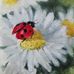 Timothy Hertel - Facebook