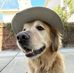 Tim Hicks - Facebook