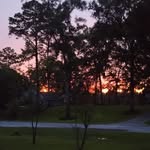 Tim Hicks - @tim.hicks.10888 - Instagram