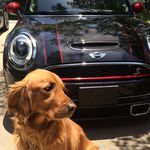 Tim Hicks - @ilm_tim - Instagram