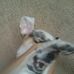 Tim Hicks - Facebook