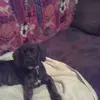 Tim High - @tim.high0 - TikTok
