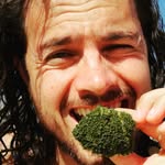 Tim Highland - @timhighland - Instagram