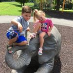 Tim Hillman - @timhill353 - Instagram