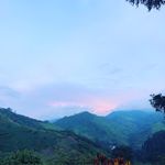 Tim hillman - @till_hillman - Instagram