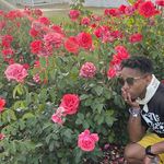 Tim Hines - @hei.tim.hey - Instagram