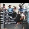 Tim Hines - @timhinesbullrider - TikTok
