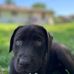 Timothy Hoag - Facebook