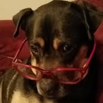 Tim Hodges - @tim_hodges42711 - Instagram