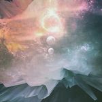 tim hofer - @tim.waallis - Instagram