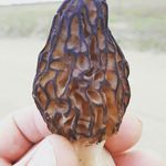 Tim Hofer - @thofer2 - Instagram