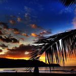Tim Hoff - @timahoff - Instagram