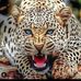 Tim Hoff - Facebook