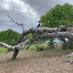 Tim Hoffman - @tim_hoffman_ - Instagram