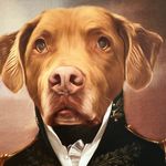 Tim Hogg - @hoggazmo - Instagram
