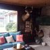 Tim Hogg - Facebook