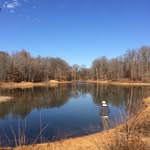 Tim Hokenson - @timhokenson - Instagram