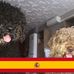 Tim Houghton - Facebook